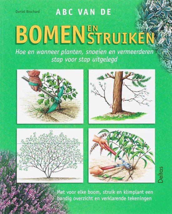 Cover van het boek 'ABC van de bomen en struiken' van D. Brochard