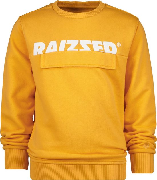 Raizzed Maat 176 Nacif Jongens Trui Tiger Orange bol
