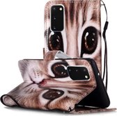 Voor Galaxy S20 Geschilderd Patroon Horizontale Flip Leren Case met Houder & Kaartsleuven & Portemonnee (Coffee Cat)