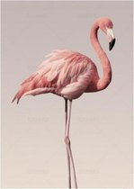 B283 Canvas Schilderij Modern Wall Art Poster Woondecoratie met Frame, Afmeting: 30x40cm (Flamingo)
