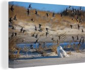 Canvas Schilderij Bonte strandlopers rondom een bosuil - 120x80 cm - Wanddecoratie
