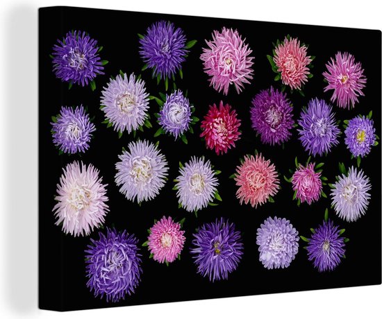 Verschillende aster bloemen Canvas 90x60 cm - Foto print op Canvas schilderij (Wanddecoratie woonkamer / slaapkamer)