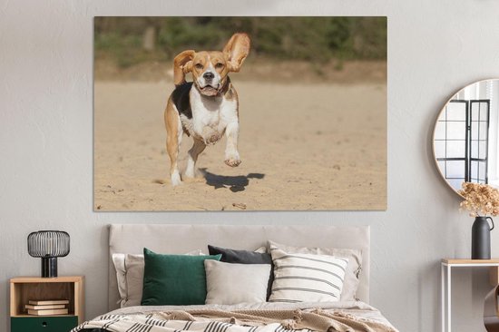 Peintures sur toile - Beagle marche dans le sable - 150x100 cm - Décoration murale
