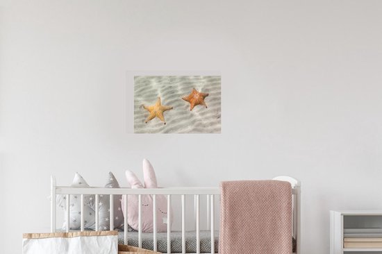 Sticker Muursticker Étoile de mer - étoile de mer marron clair et marron foncé sous l'eau - 30x20 cm - film adhésif autocollant - sticker mural repositionnable