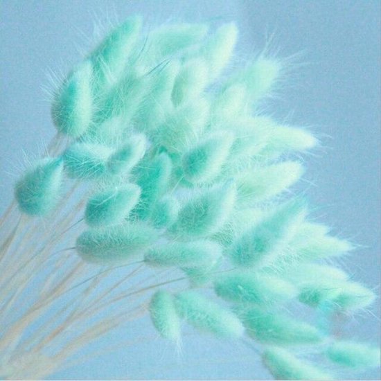 Natuurlijk boeket droogbloemen, 20 stuks gedroogde madeliefjes met