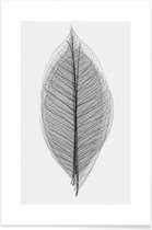 JUNIQE - Poster Skeleton of a Leaf -40x60 /Wit & Zwart