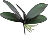 Gerimport Kunstplant Orchidee Blad 26 Cm Donkergroen