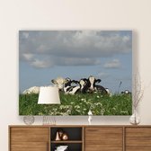 Canvas Schilderij Rustige Koeien