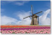 Bloemenveld en molen - Amsterdam - 90x60 Canvas Liggend - Landschap - Natuur - Bloemen