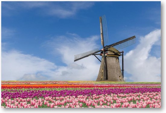 Champ de fleurs et moulin à vent - Amsterdam - Toile 90x60 Paysage - Paysage - Nature - Fleurs