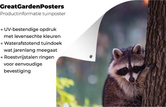 Tuinposter 40x60 cm - Tuindecoratie Wasbeer - Boom - Natuur - Poster voor in de tuin - Buiten decoratie - Schutting tuinschilderij - Tuindoek muurdecoratie - Wanddecoratie balkondoek
