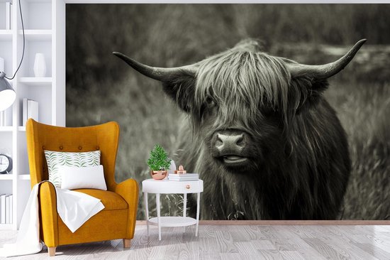 Papier peint - Papier peint photo Scottish Highlander - Portrait - Zwart - Wit - Largeur 360 cm x Hauteur 240 cm
