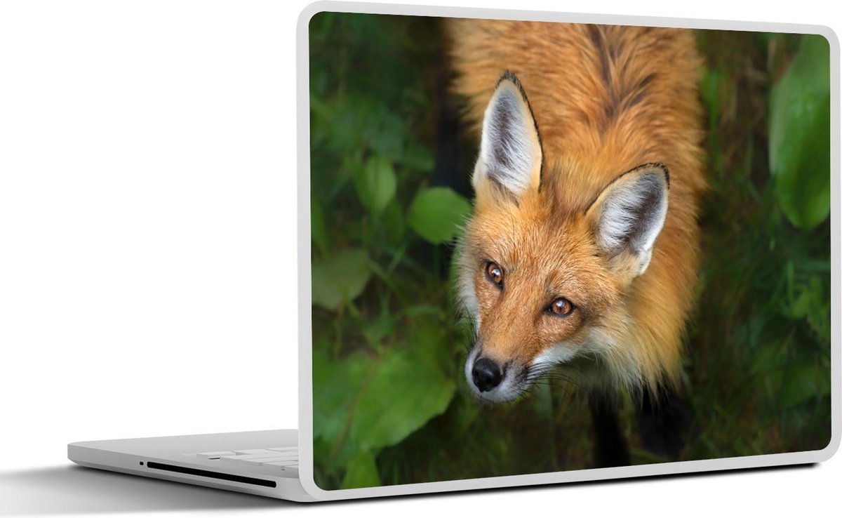 Laptop sticker - 12.3 inch - Vos - Groen - Oranje - 30x22cm - Laptopstickers - Laptop skin - Cover