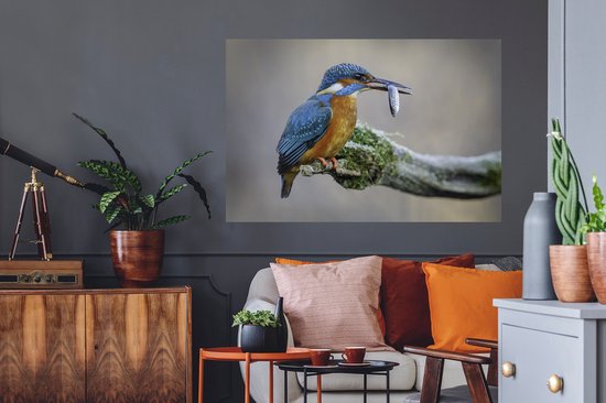 Sticker Muursticker Animal - Branche de martin-pêcheur - 120x80 cm - film adhésif autocollant - sticker mural repositionnable