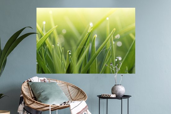 Sticker Muursticker Early Dew - Early Dew Ingrass - 90x60 cm - film autocollant - sticker mural repositionnable