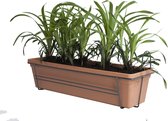 Leliegras in ELHO ® Green Basics balkonbak (Mild Terra) met metalen balkonrek ↨ 30cm - hoge kwaliteit planten
