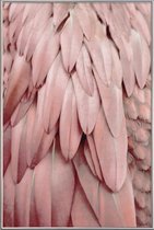 JUNIQE - Poster met kunststof lijst Pastel Feathers -40x60 /Roze