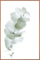JUNIQE - Poster met kunststof lijst Eucalyptus White 1 -30x45 /Groen &