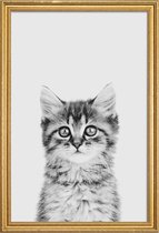 JUNIQE - Poster met houten lijst Kitten Classic -40x60 /Wit & Zwart