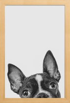JUNIQE - Poster in houten lijst French Bulldog II -40x60 /Grijs &