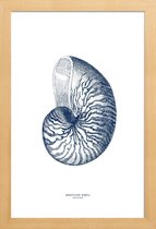 JUNIQE - Poster in houten lijst Nautilus Shell II -20x30 /Blauw & Wit