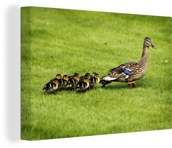 D avec garçon dans l'herbe toile 2cm 90x60 cm - impression photo sur toile peinture (Décoration murale salon / chambre à coucher) / Animaux sauvages Peintures Toile