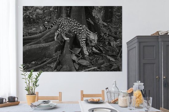 Peintures sur toile - Ocelot dans la jungle du Costa Rica en noir et blanc - 150x100 cm - Décoration murale