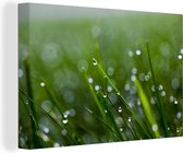 Canvas Schilderij Close-up waterdruppen op de grassprieten - 60x40 cm - Wanddecoratie