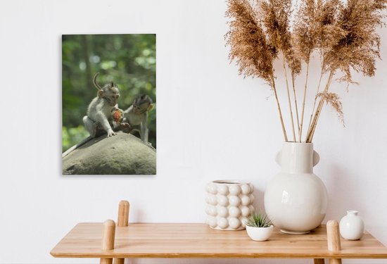 Singe avec toile de ramboutan 2cm 20x30 cm - petit - Tirage photo sur toile (Décoration murale salon / chambre)