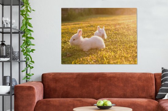 Peintures sur toile - Deux bébés lapins jouant dans l'herbe - 120x90 cm - Décoration murale