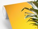 PDP.ProductImage.Thumb.Image.srtText 9