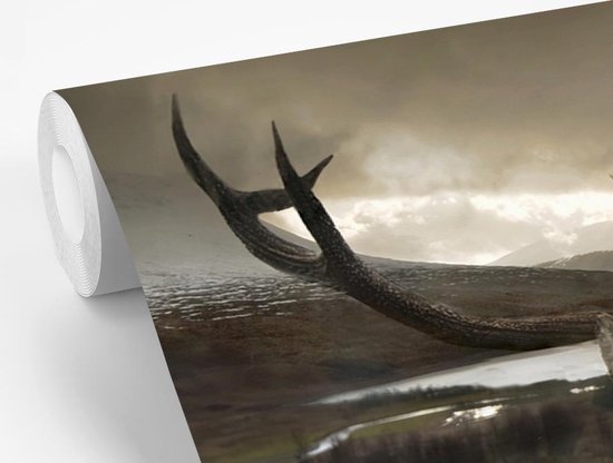 Papier peint photo peint photo vinyle - Gros plan cerf largeur 360 cm x hauteur 240 cm - Tirage photo sur papier peint (disponible en 7 tailles)