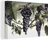 Une illustration avec des raisins mûrs sur la toile de vigne 30x20 cm - petit - Tirage photo sur toile (Décoration murale salon / chambre)