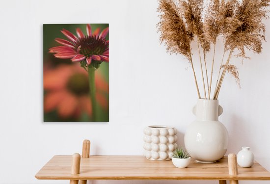 Fleur d'échinacée rouge en fleurs 20x30 cm - petit - Tirage photo sur toile (Décoration murale salon / chambre)