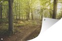 Bospad met zonlicht door de bomen, een panoramische banner met op de achtergrond textuur.