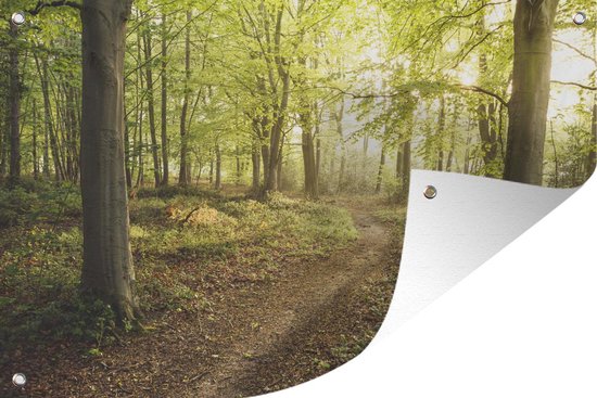 Bospad met zonlicht door de bomen, een panoramische banner met op de achtergrond textuur.