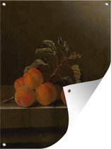 Tuin decoratie Stilleven met vijf abrikozen - Schilderij van Adriaen Coorte - 30x40 cm - Tuindoek - Buitenposter