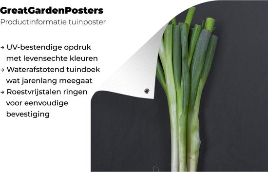 Le fameux oignon de printemps sur fond sombre Affiche de jardin 120x180 cm - Toile de jardin / Toile d'extérieur / Peintures d'extérieur (décoration de jardin) XXL / Groot format!