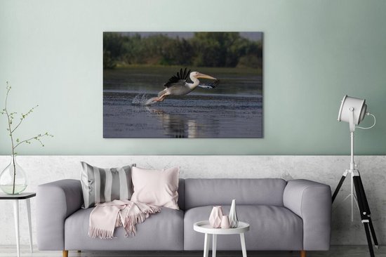 Pelican en Roumanie 180x120 cm - Tirage photo sur Toile (Décoration murale salon / chambre) / Animaux sauvages Peintures sur toile XXL / Groot format!