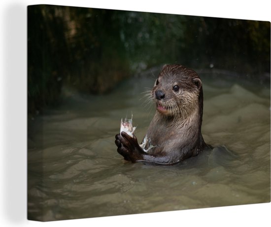 Canvas Schilderij Otter met voedsel in het water - 90x60 cm - Wanddecoratie