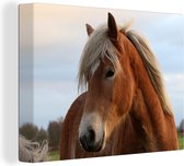 Canvas Schilderij Haflinger paard in het weiland - 40x30 cm - Wanddecoratie