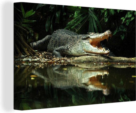 Canvas Schilderij Krokodil - Reptielen - Water - 120x80 cm - Wanddecoratie
