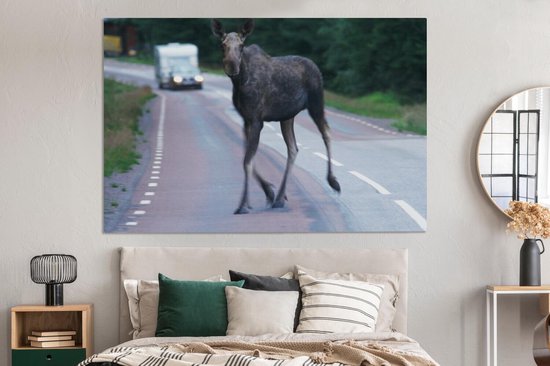 Toile d'orignal sur la route 2cm 180x120 cm - Tirage photo sur Toile (Décoration murale salon / chambre) / Animaux sauvages Peintures sur toile XXL / Groot format!