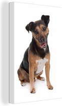 Canvas schilderij 90x140 cm - Wanddecoratie Speelse Jack Russel hond - Muurdecoratie woonkamer - Slaapkamer decoratie - Kamer accessoires - Schilderijen