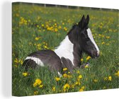 Canvas Schilderij Paarden - Bloemen - Geel - 60x40 cm - Wanddecoratie