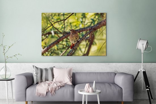 Un rougequeue à collier dans la forêt Toile 140x90 cm - Tirage photo sur toile (Décoration murale salon / chambre)