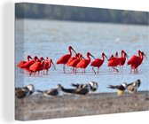 Canvas Schilderij Kolonie rode ibissen in de rivier - 90x60 cm - Wanddecoratie