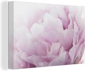 Gros plan d'une pivoine rose Toile 140x90 cm - Tirage photo sur toile (Décoration murale salon / chambre) / Peintures Fleurs sur toile