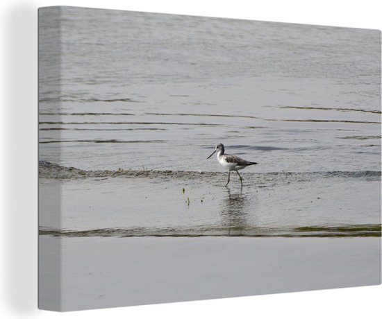 Cavalier de l'étang à la recherche de nourriture dans l'eau Toile 120x80 cm - Tirage photo sur toile (Décoration murale salon / chambre)