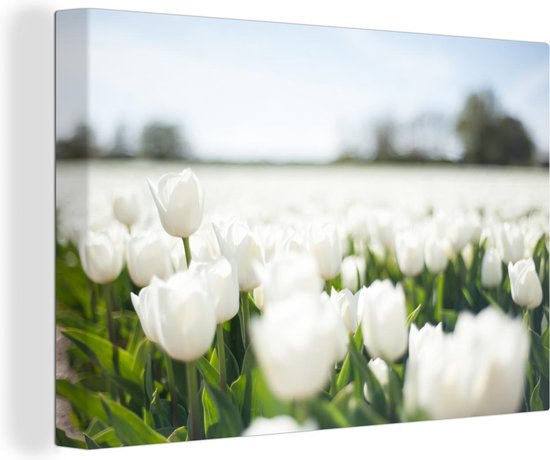 Canvas Schilderij Tulpenveld met witte tulpen - 140x90 cm - Wanddecoratie |  bol.com